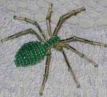 Spider from beads: shema tkanja