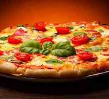 Pećnice profesionalne za pizzu: recenzije, fotografije, upute, veličine. Mini pećnica za pizzu