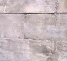 "Makrofleks" pjenaste cementa (karakteristike, primjena)