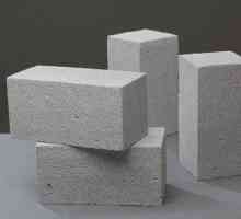 Pločasti betonski blokovi: recenzije. Pločasti blokovi betona: svojstva