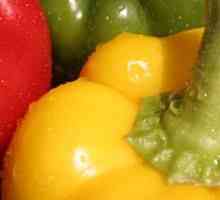 Pepper Bogatyr: recenzije vrtlara