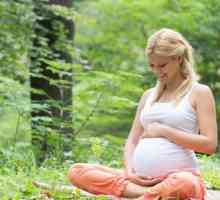 Dijete je prije porođaja aktivno ili smireno? Značajke ponašanja i manifestacije