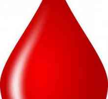 Transfuzija krvi: tablica za kompatibilnost biološkog testa i krvne grupe