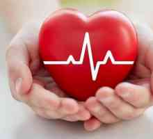 Klinika za bolesti srca "Permsky" na Sibirskom: recenzije