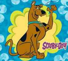 Likovi `Scooby-Doo: biografije glavnih likova iz popularnog crtića
