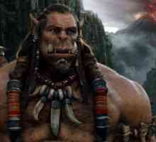 Likovi `Warcraft `. Heroji ere