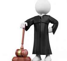 Primarni element sustava zakona je normativni pravni akt