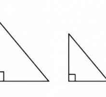 Prvi znak jednakosti trokuta. Drugi i treći znakovi jednakosti trokuta
