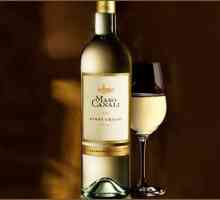 Pinot Grigio - vino koje simbolizira ljeto podne
