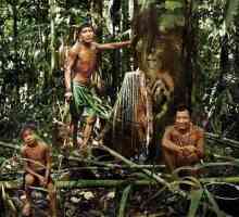 Piracha je pleme koje živi u skladu s prirodom