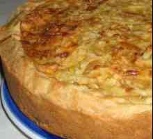 Kolač s lukom s otopljenim kolačima od sira: fotografije i recepti
