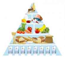 Piramida hrane - osnovu za pravilnu prehranu za svaki dan