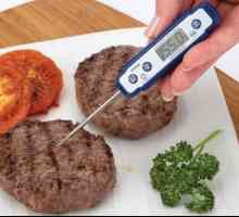 Hrana termometar: glavne prednosti i raznolikost asortimana