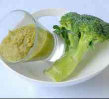 Puree od brokule - ukusna jela zdrave kuhinje