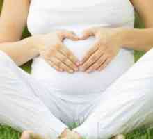 Plazentalni polip nakon poroda: simptomi i liječenje