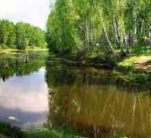 Plaćeni ribolov: Yusupovo (okrug Domodedovo)