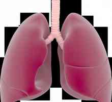 Pleurijalna tuberkuloza: vrste, uzroci i liječenje