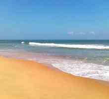 Candolim Beach (Indija, Goa): opis i recenzije