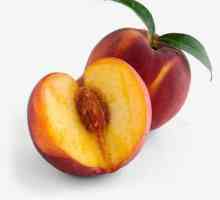 Voće: klasifikacija plodova i svojstva njihove strukture