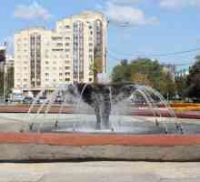 Područje mladih u Zelenogradu: povijest i činjenice
