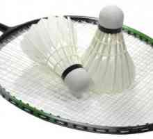 Platforme za badminton: dimenzije, visina mreže. Pravila za badminton