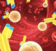 Zašto se imunoglobulin E povećava kod djece