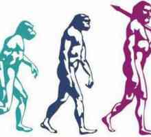 Zašto se evolucija zove povijesni proces? Pokretačka snaga evolucije