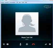 Zašto ne zovete Skype: razlozi i pravni lijekovi za problem