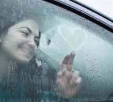 Zašto se prozori znoj u automobilu? Znojanje prozora u automobilu - što učiniti?
