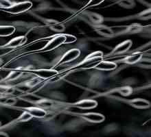 Zašto tekućina sperme postala transparentna: mogući uzroci