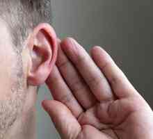 Zašto su uši velike: uzroci, dijagnoza i liječenje. Ljudi s najvećim ušima