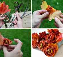 Obrt "Pokloni jeseni" sa svojim rukama od prirodnih materijala: ideje, upute