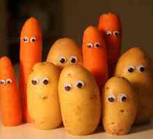 Поделки из картошки и морковки для детского сада или школы. Поделки своими руками из картошки и…