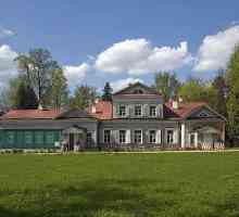 Moskovska predgrađa, dvorac-muzeji: opis, fotografija