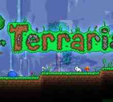 Detaljno o škriljevcima "Terraria"