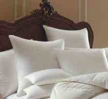 Jastuci: standardne veličine, opće preporuke za izbor