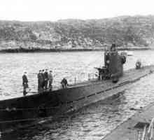 Podmornica `S-56` u Vladivostoku: povijest, fotografija