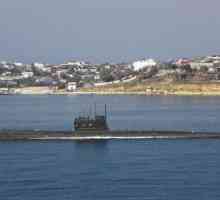 Podmornica `Zaporozhye` u pomorskim snagama Ukrajine: opis, povijest, perspektive