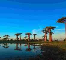 Vrijeme i klima Madagaskara