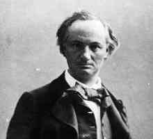Pjesnik Charles Baudelaire: biografija, kreativnost