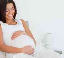 Koliko je koristan tijekom trudnoće?