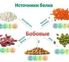 Korisni proteinski proizvodi: Popis (tablica)