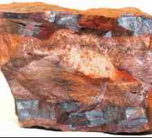 Minerali regije Belgorod: željezna ruda i sve ostalo