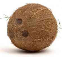 Korisni savjeti: kako smanjiti kokos