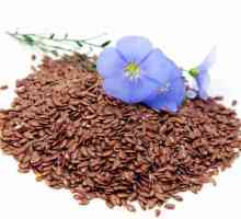 Korisna svojstva lanenog sjemena. Metode primjene, recepte, kontraindikacije
