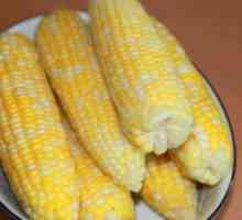 Korisna svojstva kuhana kukuruza: razgovarajmo o vrijednim žitaricama