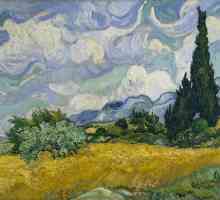 Polja, prostori pšenice u djelima Van Gogha. Slikarstvo "Polje pšenice s čempresima"