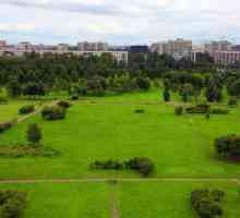 Polustrovski park je najzeleniji rekreacijska zona u Krasnogvardeisky okrugu u St. Petersburgu