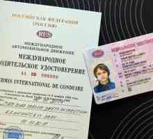 Dobijte međunarodna prava u Moskvi. Međunarodna vozačka dozvola