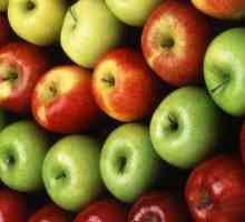 Korištenje jabuka za zdravlje. Prednosti pečene i svježe jabuke za tijelo